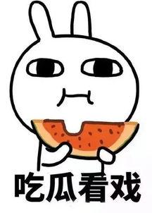 娱乐吃瓜酱外卖